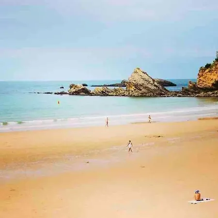 Belle Maison Grand Jardin Proche Cote Des Basques Biarriz